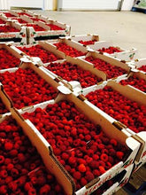 Charger l&#39;image dans la galerie, Framboises
